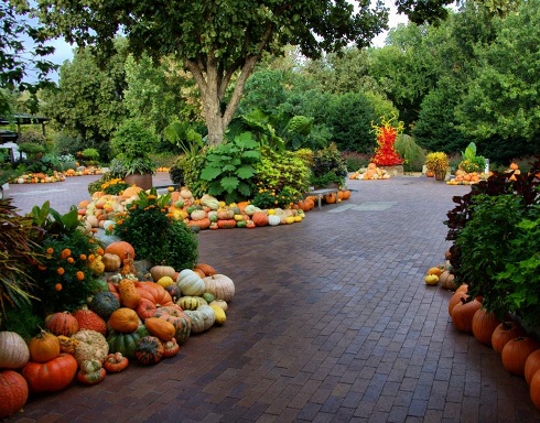 pumpkin landscaping