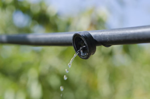 What is Drip Irrigation and Its Advantages? DK Landscaping Santa Rosa CA