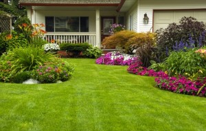 Landscape-and-Garden-Design-Tips-For-New-Homeowners-DK-Landscaping-CA