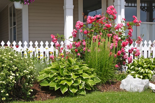 Mixed flower bed in front of a picket fence.