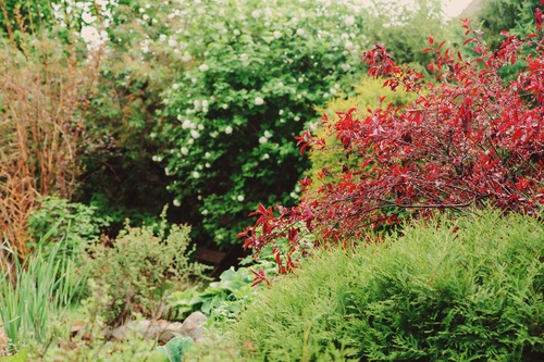 Beautiful view with coorful trees and shrubs. English garden in spring. Landscape gardening.