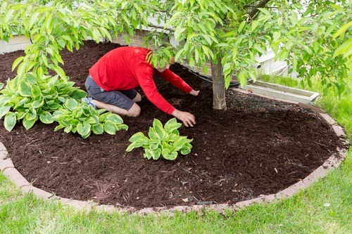 what are the benefits of mulching
