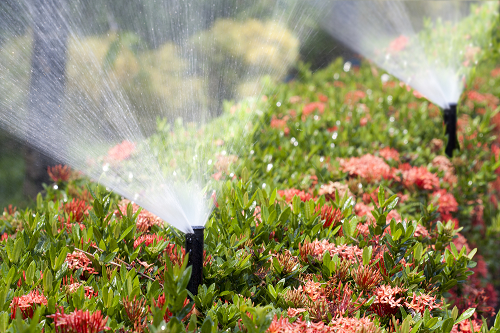 Irrigation System watering plants in garden 