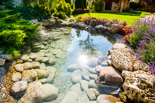 Beautiful Rock garden with small pond