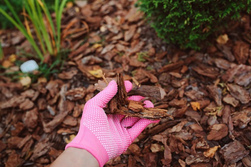 Outstretched hand in mulch