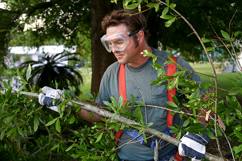 landscaper performing land maintenance