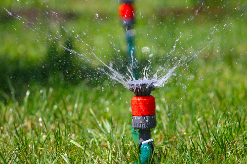 irrigation system on a green lawn