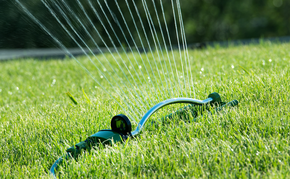 sprinkler irrigation system on lawn in backyard