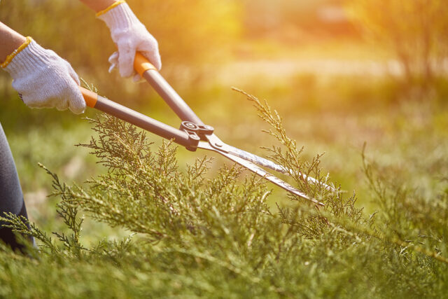 a-guide-to-lawn-and-landscape-maintenance-dk-landscaping