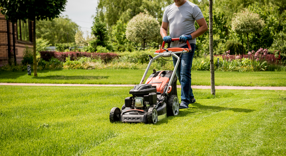 7 Reasons Property Owners Rely on Garden Professionals