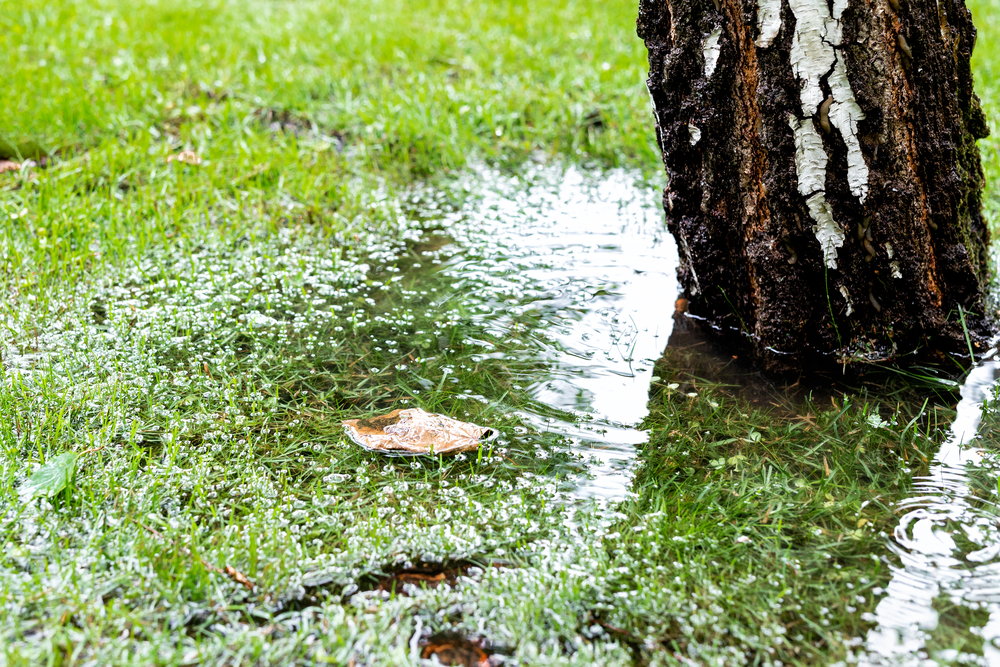 Flood-Resistant-Yard-Maintenance-Tips-For-the-Rainy-Season
