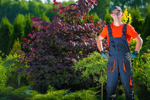 North york landscaper