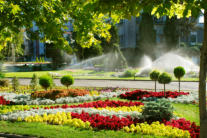 irrigation system on corporate lawn