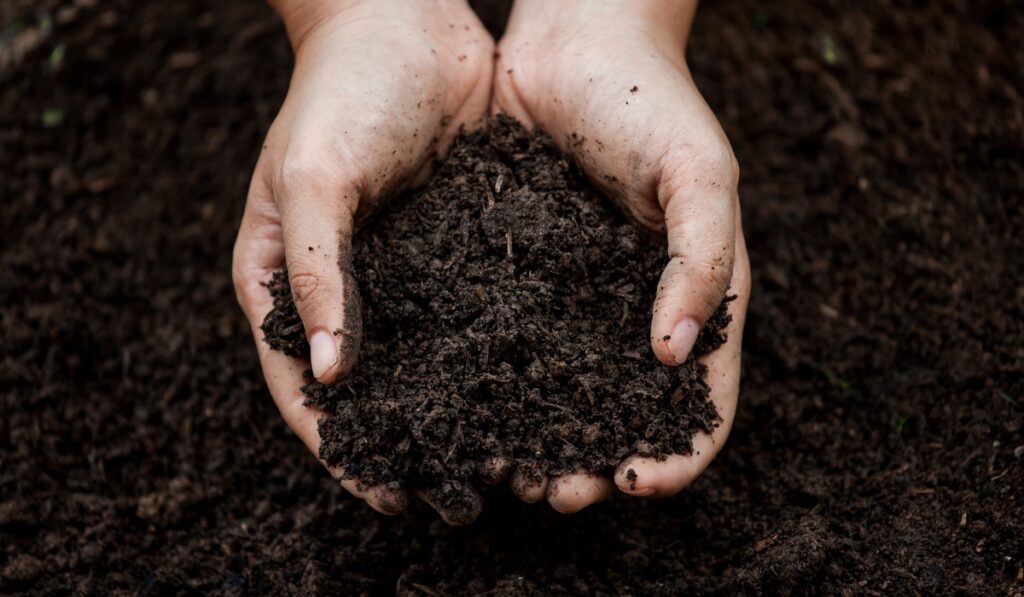 hands holding up rich soil 