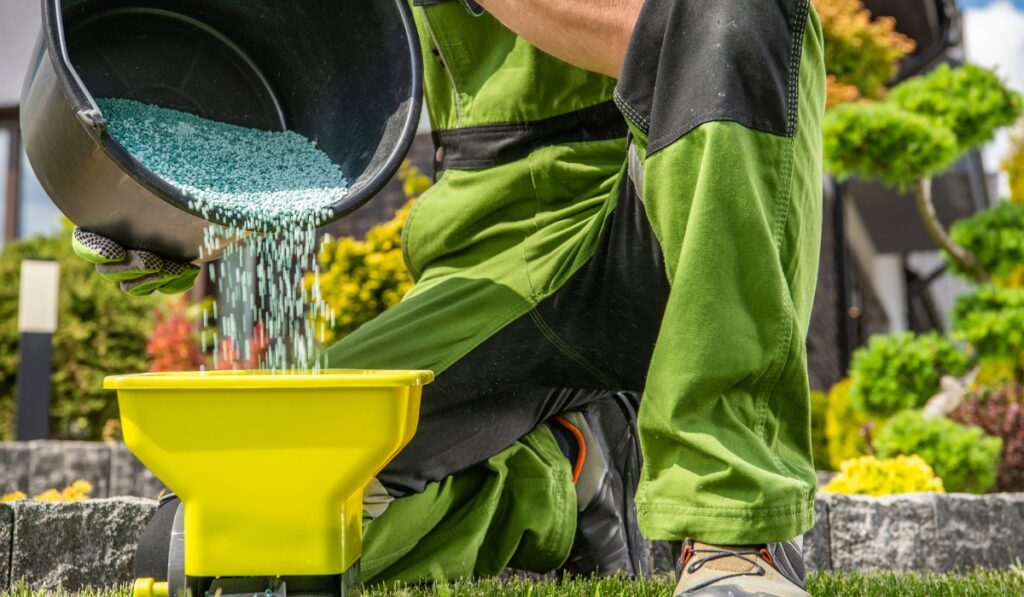 image of man pouring lawn fertilizer into a spreader