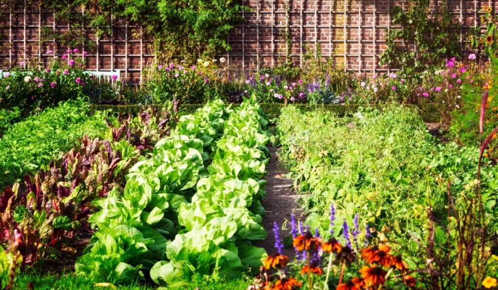 image of a lavish garden in california