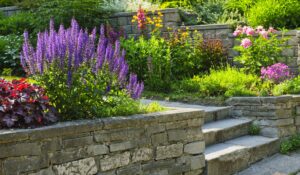 spring landscaping ideas