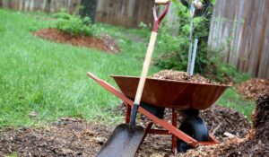 yard tools resting on a wheel barrel with mulch