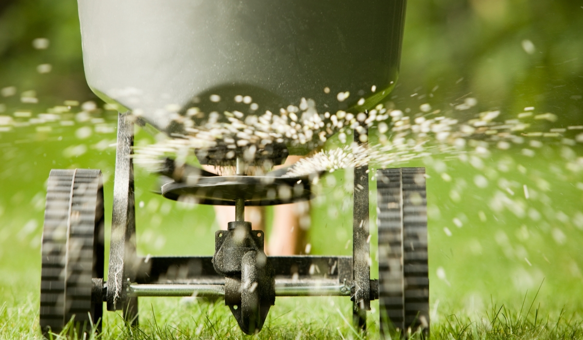 man using a push cart to spread grass seed